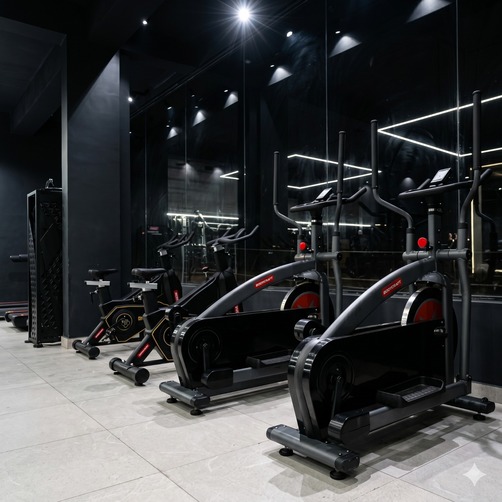 Variety gym equipments in shuklaganj